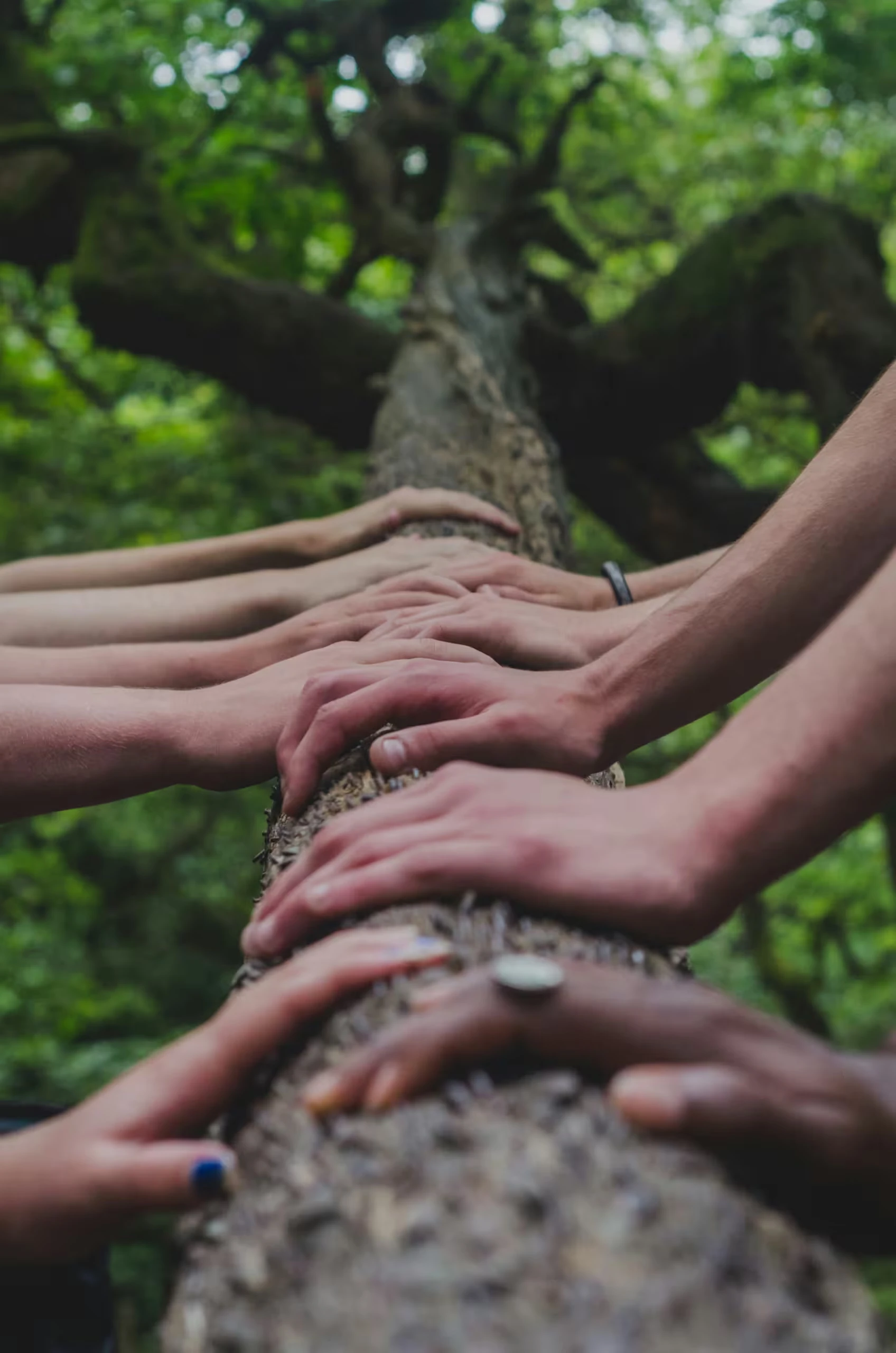 The Impacters - De werkplaats voor mens en organisatie.
