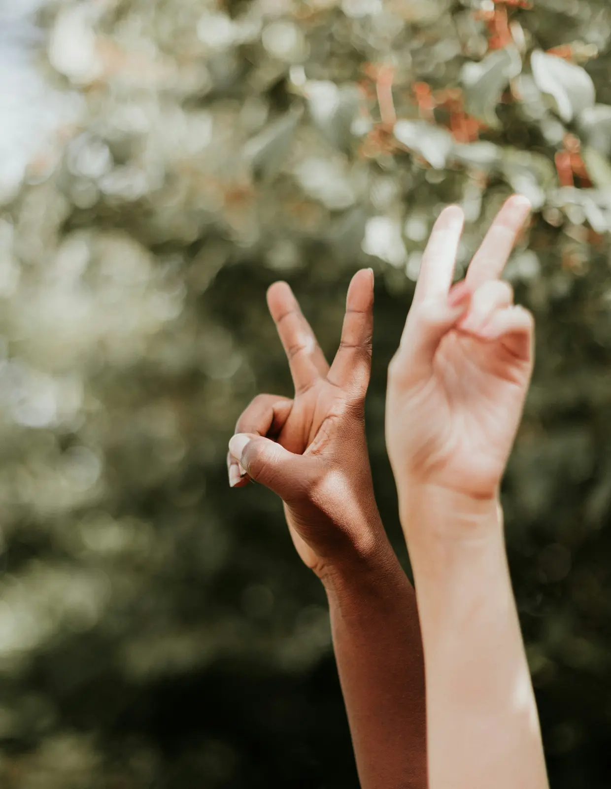 Over ons Hands V